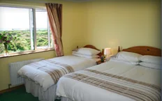 Cosy en-suite bedroom with sea views at Rush Lake House