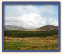 Connemara Mountain